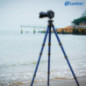 Leofoto LP-324C+LH-40 carbon fibre tripod with ball head