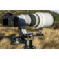 Leofoto DDC-50B Morsetto doppio Arca-Swiss (bidirezionale)