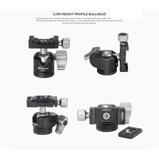 Leofoto LS-223C+LH-25 — treppiede carbonio con testa | Leofoto Store