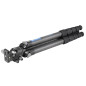 Leofoto LS-325C+LH-40 Carbon-Stativ mit Kugelkopf