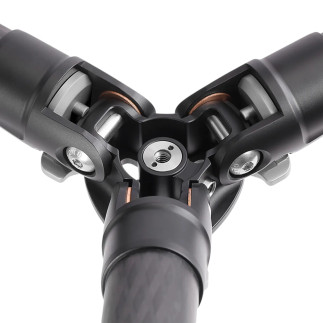 Leofoto LS-255C+LH-30 — carbon tripod with head | Leofoto Store