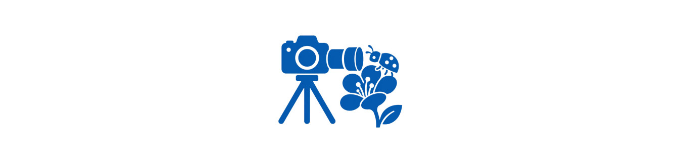 Sprzęt do fotografii makro - Leofoto