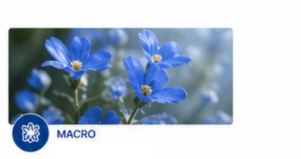 Makro